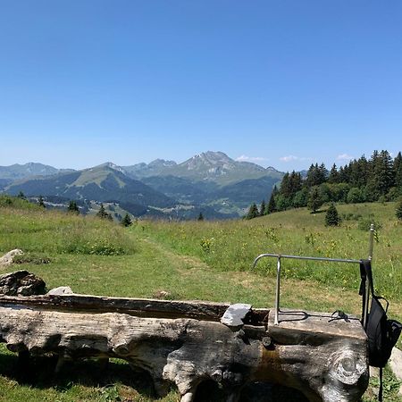 Chalet Yuki Morzine Eksteriør billede