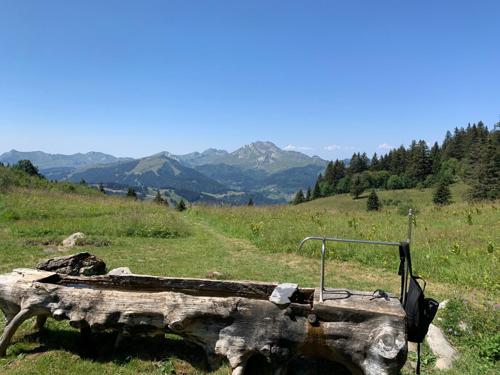 Chalet Yuki Morzine Eksteriør billede